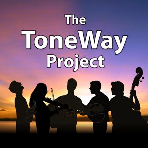 toneway.com logo